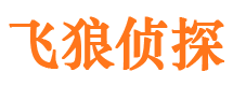 阿瓦提市侦探调查公司